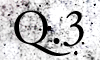 Q.3