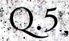 Q.5