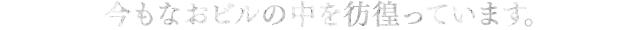 今もなおビルの中を彷徨っています。